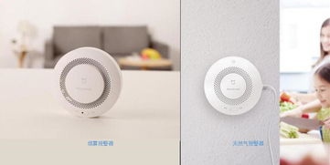 武汉小米科技 智能家居生态链的优质制造与创新引擎